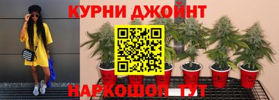 PSILOCYBIN Гусь-Хрустальный