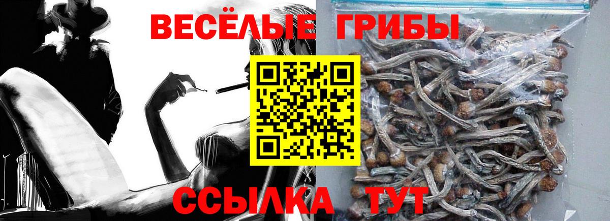 Калининград  Галлюциногенные грибы Psilocybe  Вход с VPN 