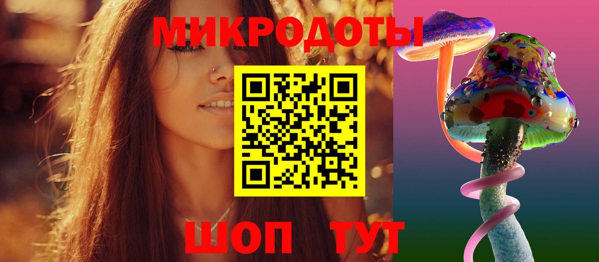 Псилоцибиновые грибы мухоморы Калининград